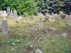 Desertserges Graveyard      