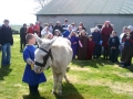donkey-1