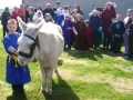 donkey-2-1